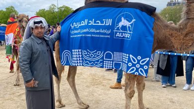 مشاركة ناجحة للاتحاد العربي لسباقات الهجن بمسيرة الإبل في باريس
